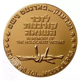 State Medal, In Memory of Holocaust Victims, General Medal, Bronze Medal, Bronze Tombac, 70.0 mm, 17 gr - Reverse