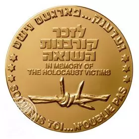 In Memory of Holocaust Victims - 70.0 mm, 140 g, Bronze Tombac Medal