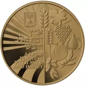 Israels 70th Anniversary, State Medal