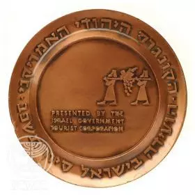 American Jewish Congress - 59.0 mm, 98 g, Bronze Tombac