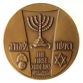 Jewish Legion Jubilee - 59.0 mm, 88 g, Bronze Tombac Medal