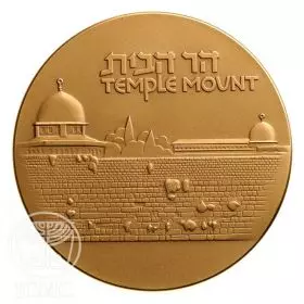 Temple Mount - 59.0 mm, 98 g, Bronze Tombac