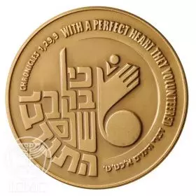 Volunteers - 59.0 mm, 98 g, Bronze Tombac Medal