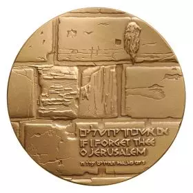 The Western Wall - 59.0 mm, 98 g, Bronze Tombac Medal