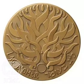State Medal, Lag B'Omer, Bronze State Medal, Bronze Tombac, 59.0 mm, 17 gr - Obverse