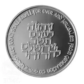 מטבע זיכרון, 3000 שנה לירושלים, כסף, 30 מ"מ, 14.4 גרם - צד הנושא