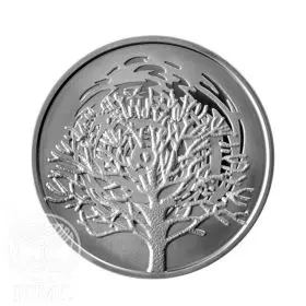 Commemorative Coin, The Burning Bush, Prooflike Silver, 30 mm, 14.4 gr - Obverse