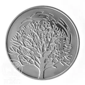Commemorative Coin, The Burning Bush, Proof Silver, 38.7 mm, 28.8 gr - Obverse