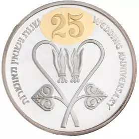 25th wedding anniversary, silver medal