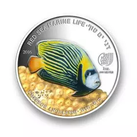 Emperor Angelfish, Silver 999, Proof, 38.6 mm, 1 oz - Obverse