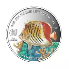 Butterflyfish, Silver 999, Proof, 38.6 mm, 1 oz - Obverse