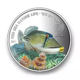 Triggerfish, Silver 999, Proof, 38.6 mm, 1 oz - Obverse