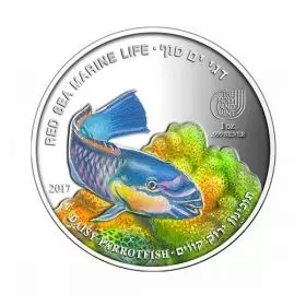 Daisy Parrotfish, Silver 999, Proof, 38.6 mm, 1 oz - Obverse