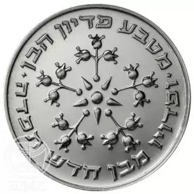 Commemorative Coin, Pidyon Haben Coin 1976, Silver 800, Standard BU, 40 mm, 30 gr - Obverse