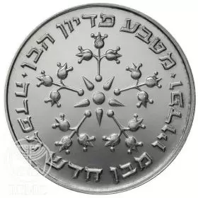 Commemorative Coin, Pidyon Haben Coin 1976, Silver 800, Proof, 40 mm, 30 gr - Obverse