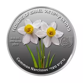Common Narcissus  - Silver 999, 50mm, Half Ounce