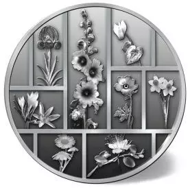 Borstige Stockrose, Silber 999, 50 mm, ½ Unze - Rückseite