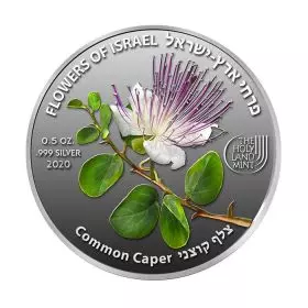 Common Caper  - Silver 999, 50mm, Half Ounce
