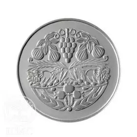 State Medal, Mazel Tov, A Boy, Silver State Medal, Silver 935, 34.0 mm, 17 gr - Reverse