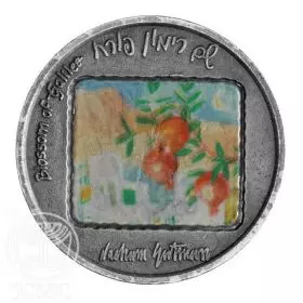 Blossom of Galilee - 26mm, 10 g Silver/999 with lithograph Medal