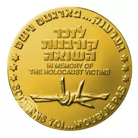 In Memory of Holocaust Victims - 30.5 mm, 17 g, Gold/585 Proof Medal