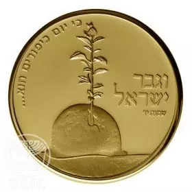 30th Anniversary of The Yom Kippur War, 17g Gold 585, 30 mm