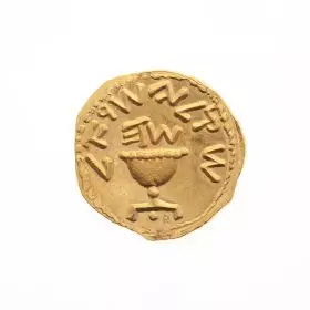 Pomegranate - Seven Species, Ancient Coin Replica