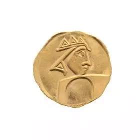 Olive - Seven Species, Ancient Coin Replica