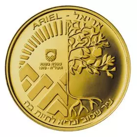 Ariel,  Cities of Israel Series, 30.5mm, 17g, 14k Gold Proof Medal