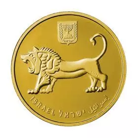 Israelisches Museum 50 Jahre Jubiläum, Jerusalem von Gold, 1 Unze Goldmünze 32 mm