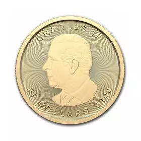 Canadian Maple Leaf Gold Coin ½ Oz 2024