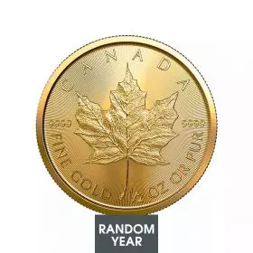 Canadian Maple Leaf Gold Coin 1/2 oz. Random year