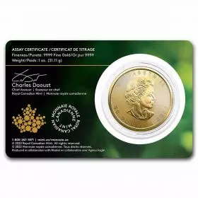 Canadian Maple Leaf 2022 Coin with Blister 1 oz 2022