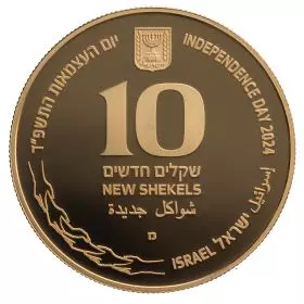 Israel Stands Together- Israel's Independence Day Commemorative Coin - 16.96 g 917/Gold Coin, 30 mm