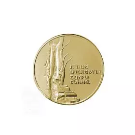 The Western Wall - 14.0 mm, 2.05 g, Gold/750 Medal