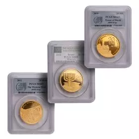 Jerusalem of Gold - Set of 3 1oz. Pure Gold Grading Coins