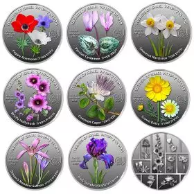 "Blumen von Israel" Set von acht 0,5 Unze Silber 999