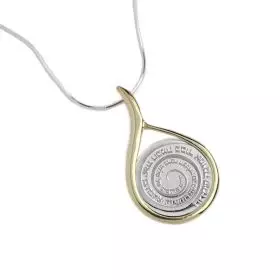 Silver Necklace, Gold Plated Bezel and Wheel of Blessing Medal
