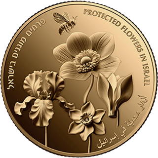 Protected Flowers In Israel