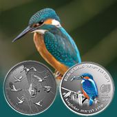 Birds of Israel - Kingfisher
