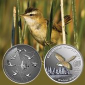 Birds of Israel - Warbler